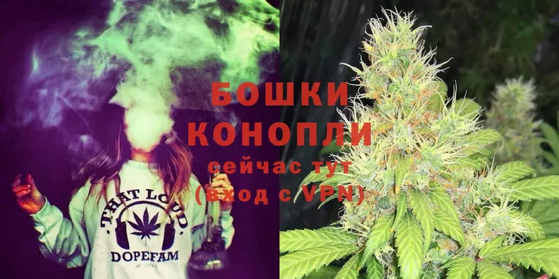 Шишки марихуана White Widow  Голицыно 